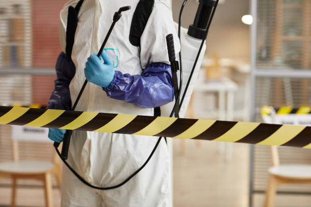 Professional Sewage Cleanup technician working in Osmond, NE
